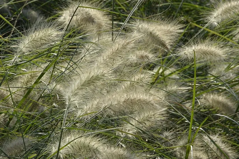 screenshot 20200909 120110