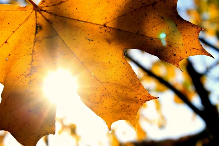 screenshot 20200913 132325