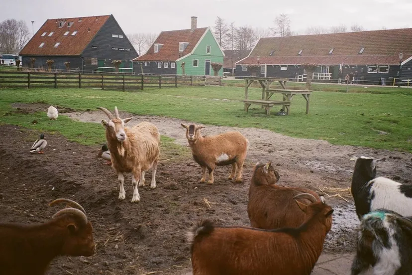 screenshot 20200915 174139