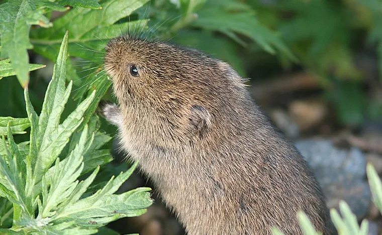 screenshot 20200917 083337