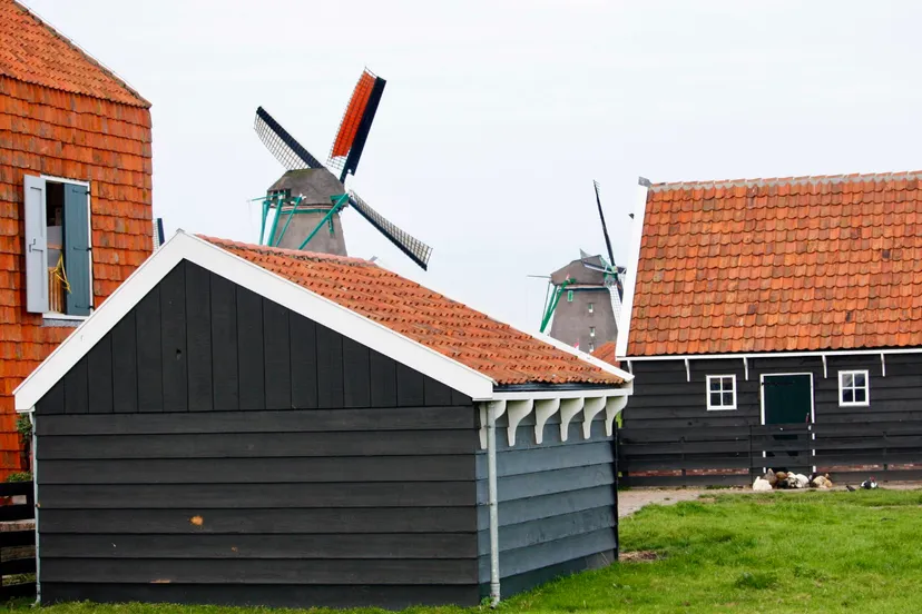 screenshot 20200919 092626