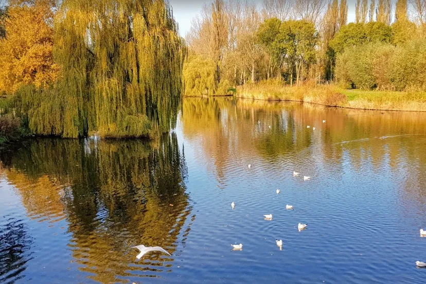 screenshot 20200930 120924