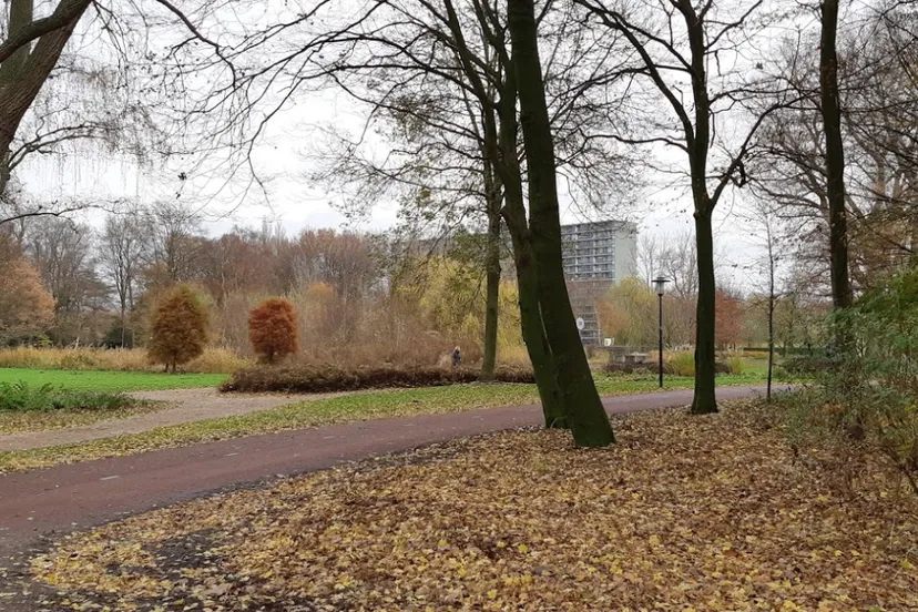 screenshot 20201008 105854