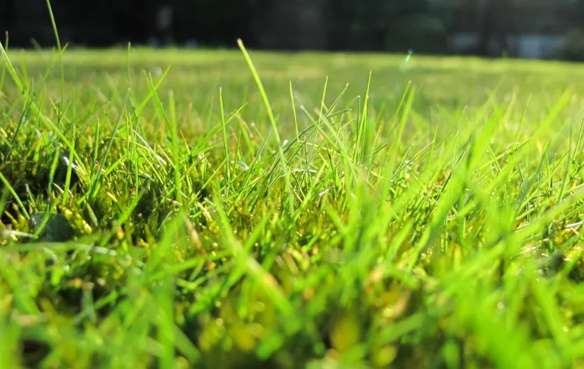 screenshot 20201009 150014