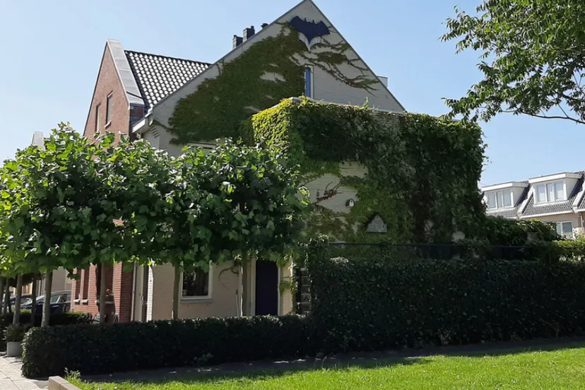 screenshot 20201010 125553