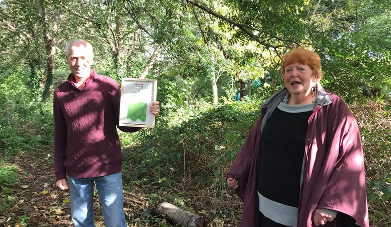 screenshot 20201010 131728