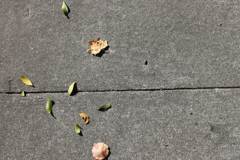 screenshot 20201013 170335