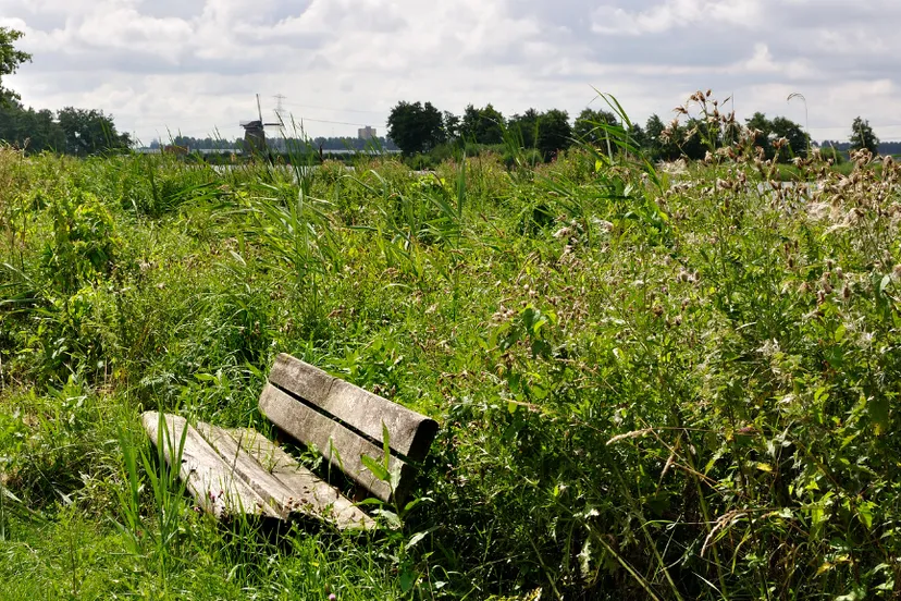 screenshot 20201017 145247