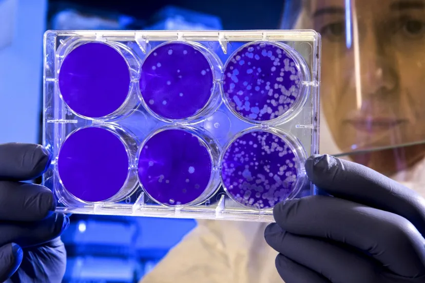 screenshot 20201018 151713