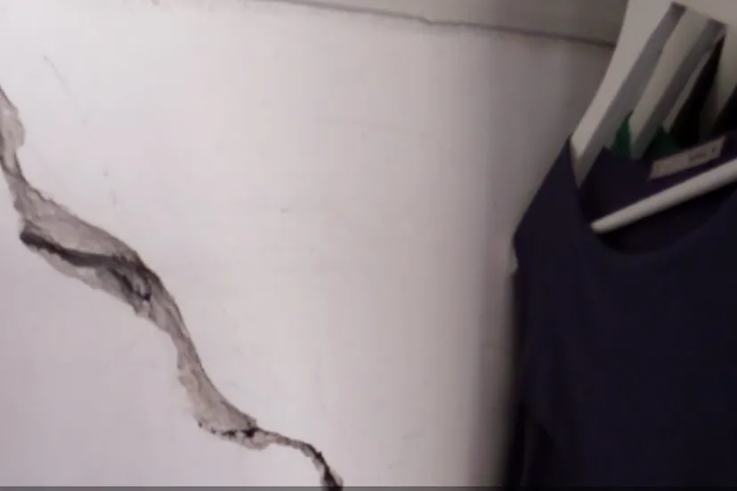 screenshot 20201019 114523