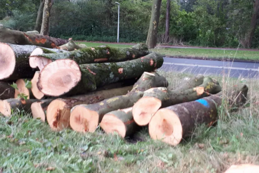 screenshot 20201029 083546