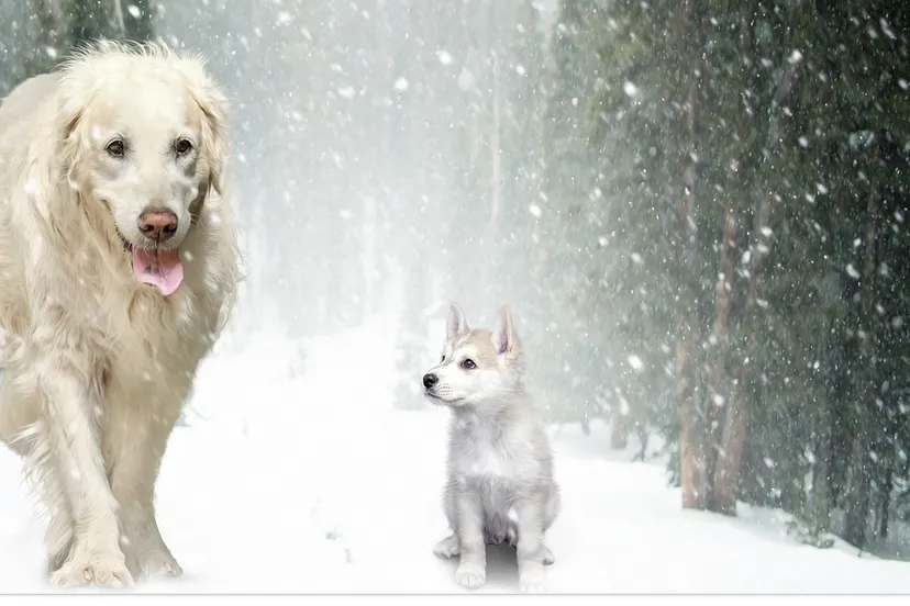 screenshot 20201029 130451