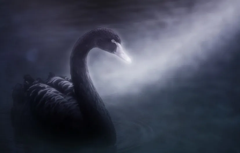 screenshot 20201030 114444