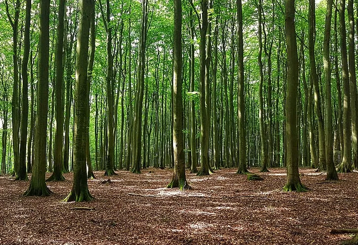 screenshot 20201103 142643