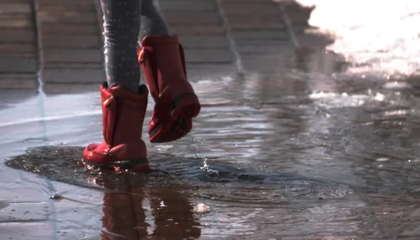 screenshot 20201107 092509