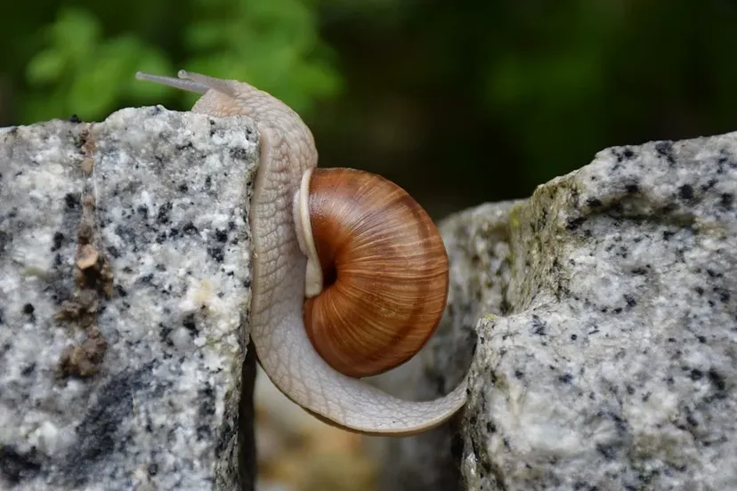 screenshot 20201108 150011