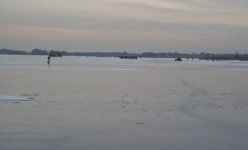 screenshot 20201115 083829