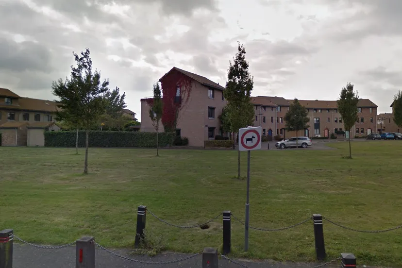 screenshot 20201119 130710