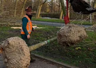 screenshot 20201126 065417