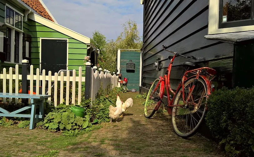 screenshot 20201129 115030