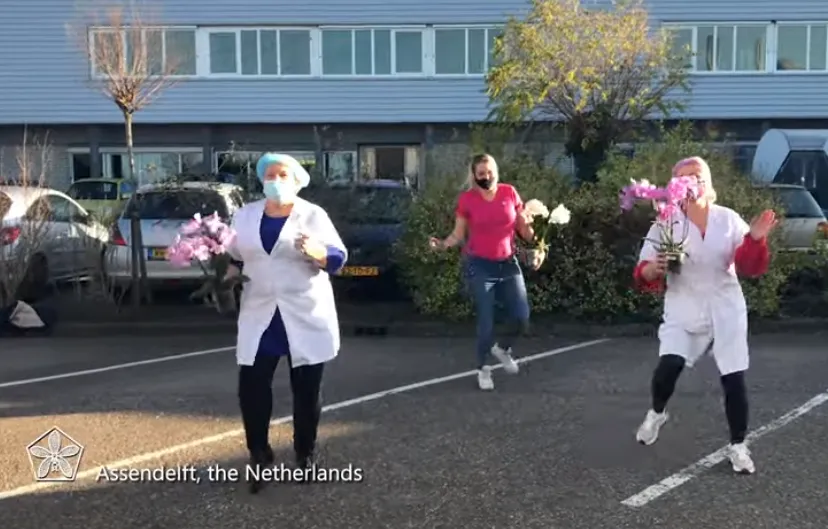 screenshot 20201207 123114