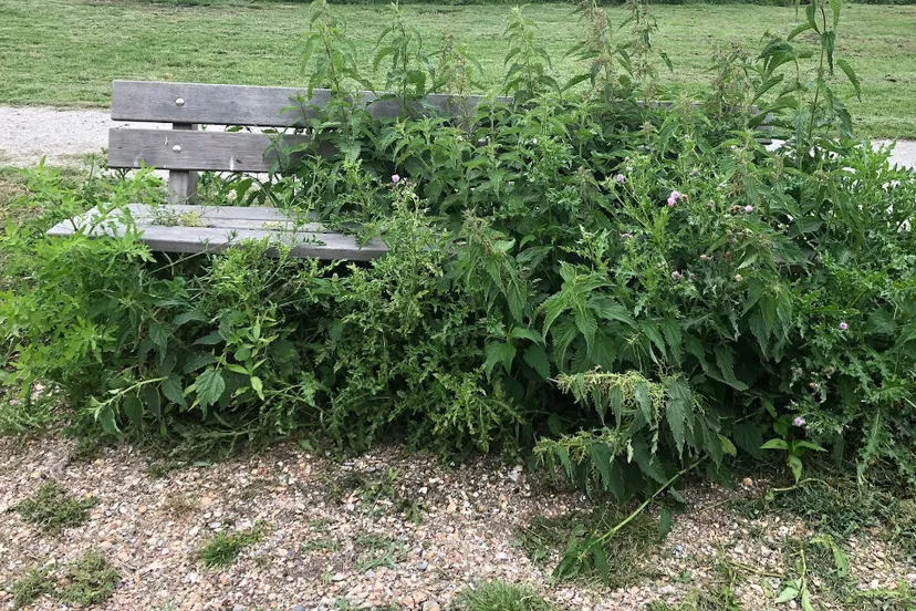 screenshot 20201210 091316