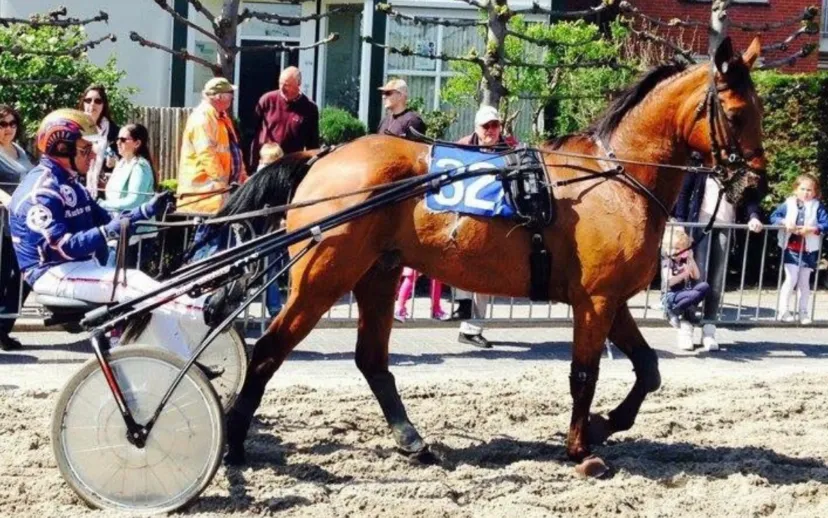 screenshot 20201214 143921 915x518 1