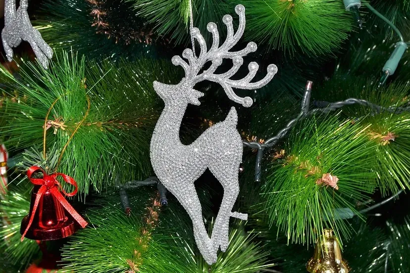 screenshot 20201215 084047