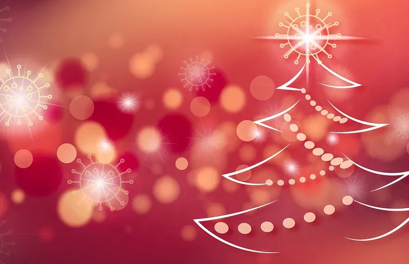 screenshot 20201219 133712