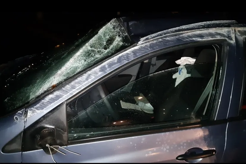 screenshot 20201227 081007