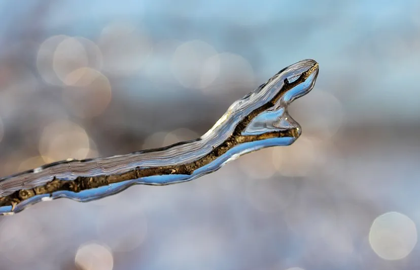 screenshot 20210109 101825