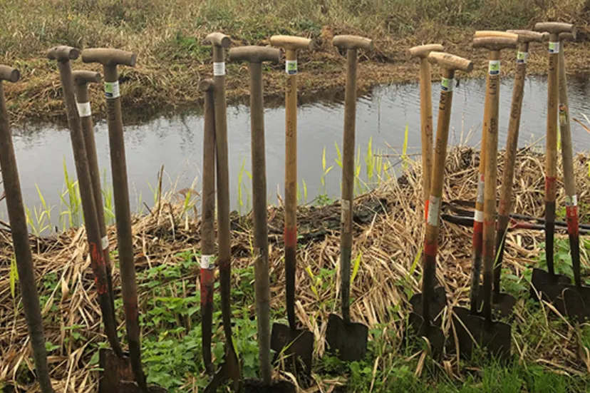 screenshot 20210202 125120