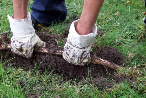 screenshot 20210204 164836