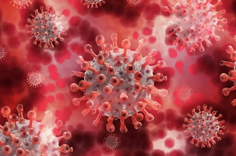 screenshot 20210205 161817