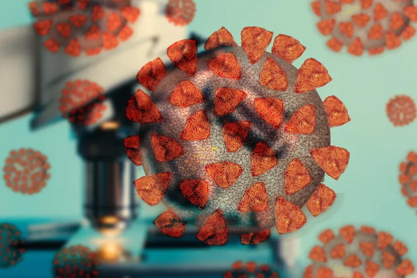 screenshot 20210206 102511