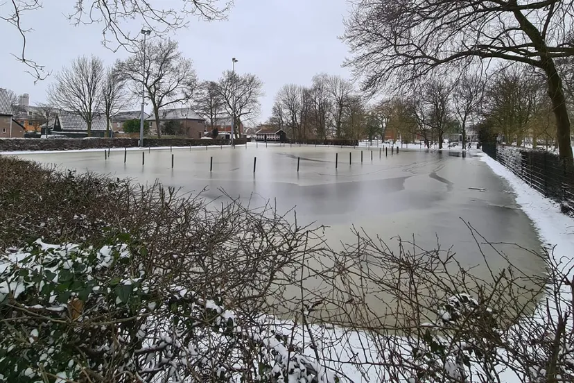 screenshot 20210212 083538