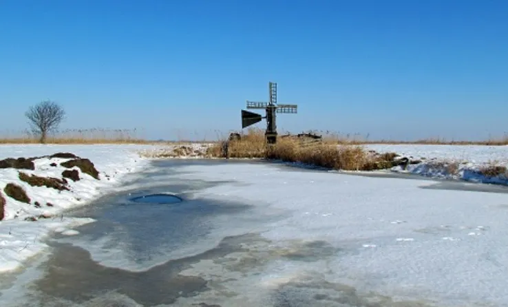 screenshot 20210213 140120