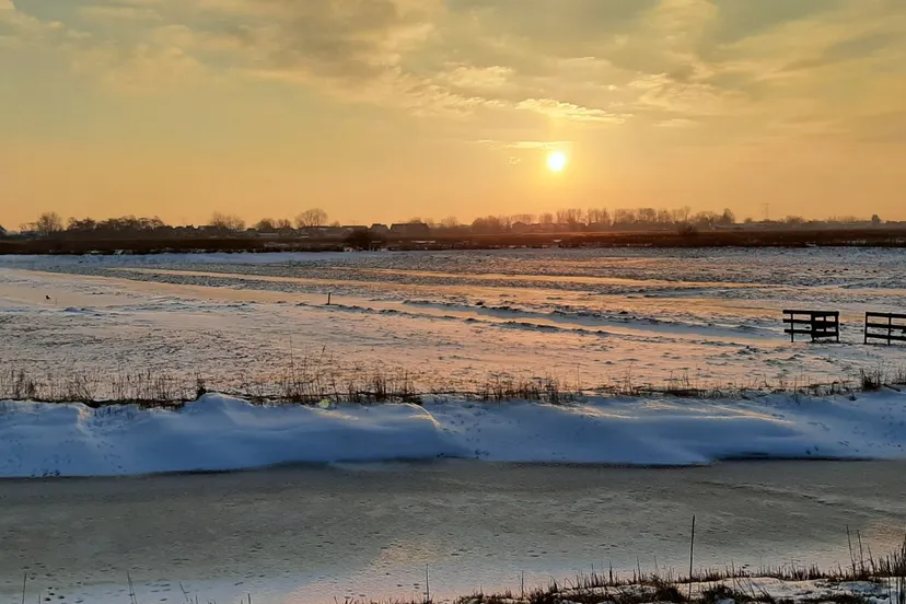 screenshot 20210214 110634