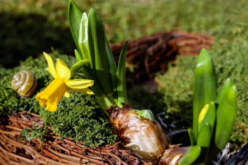 screenshot 20210219 164854