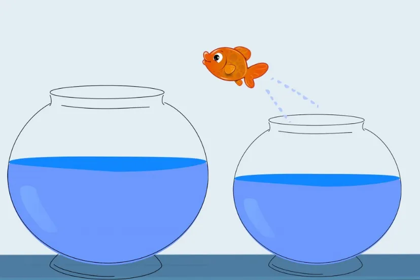 screenshot 20210221 130849