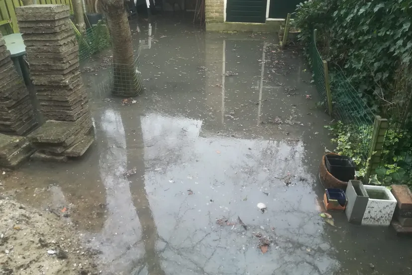 screenshot 20210222 114851