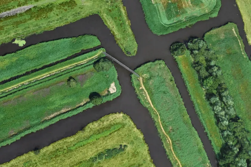 screenshot 20210304 161215