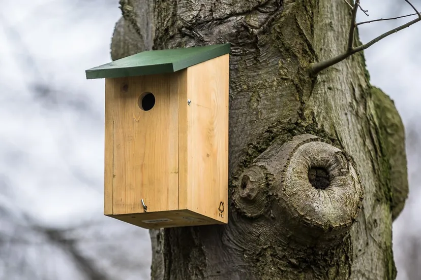 screenshot 20210305 170731