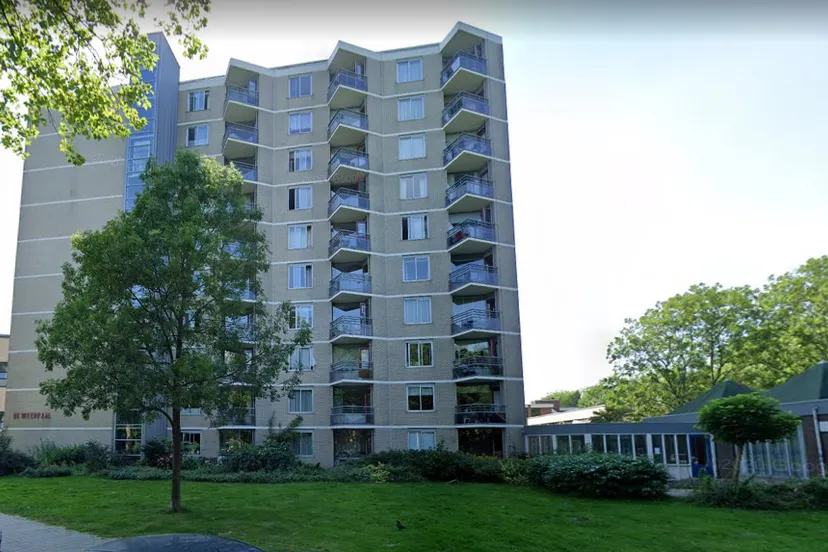 screenshot 20210308 120208