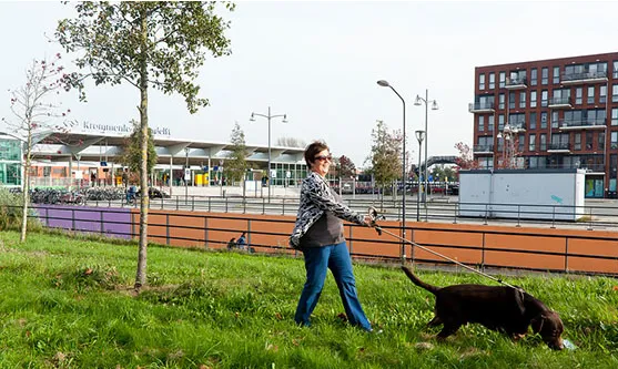 screenshot 20210318 085611