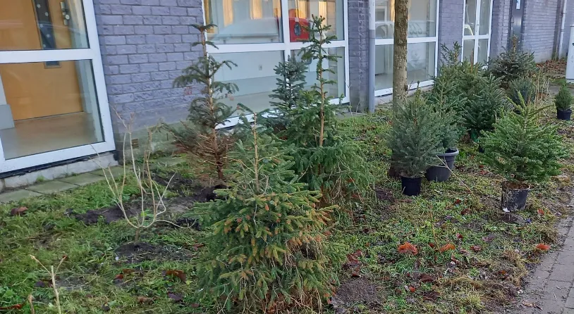 screenshot 20210318 141929