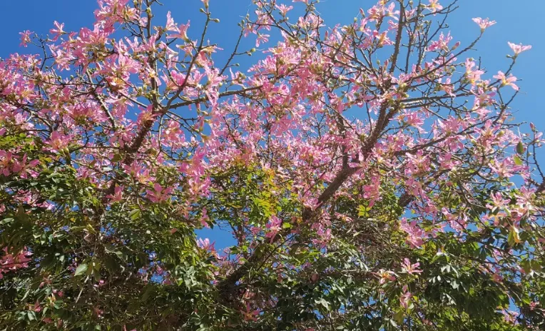 screenshot 20210319 134639