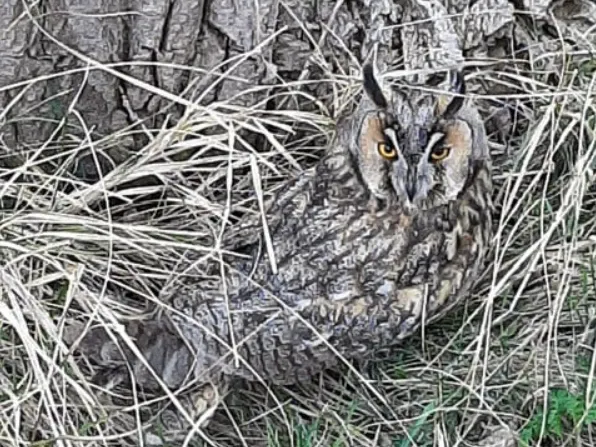 screenshot 20210322 125042