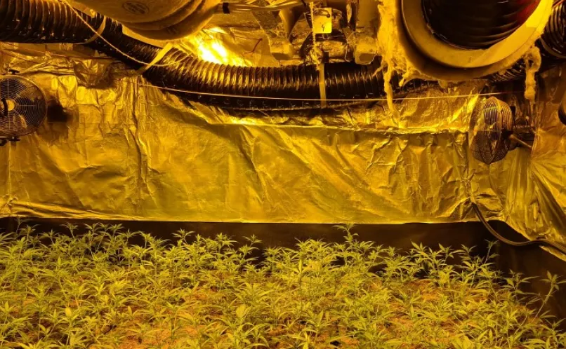 screenshot 20210322 130805