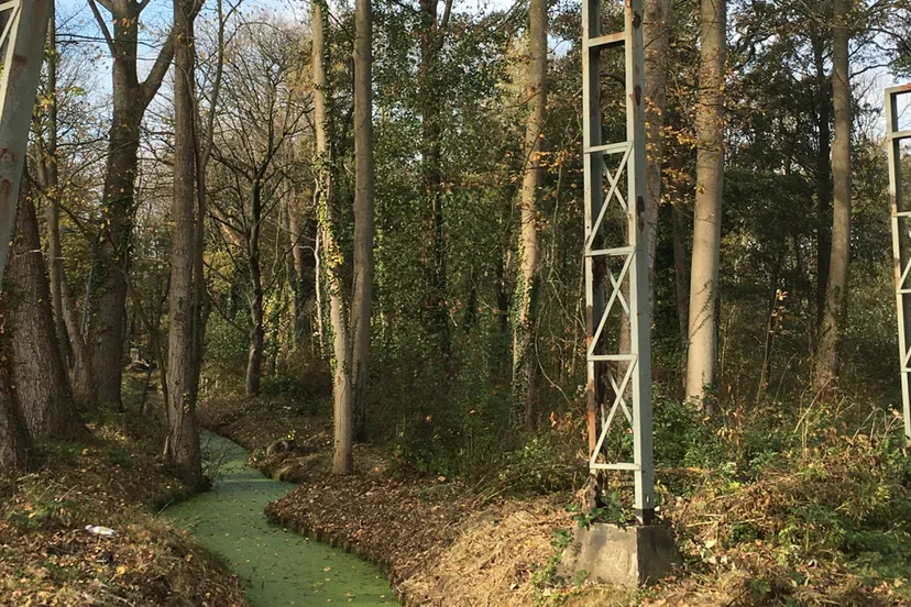 screenshot 20210326 123312